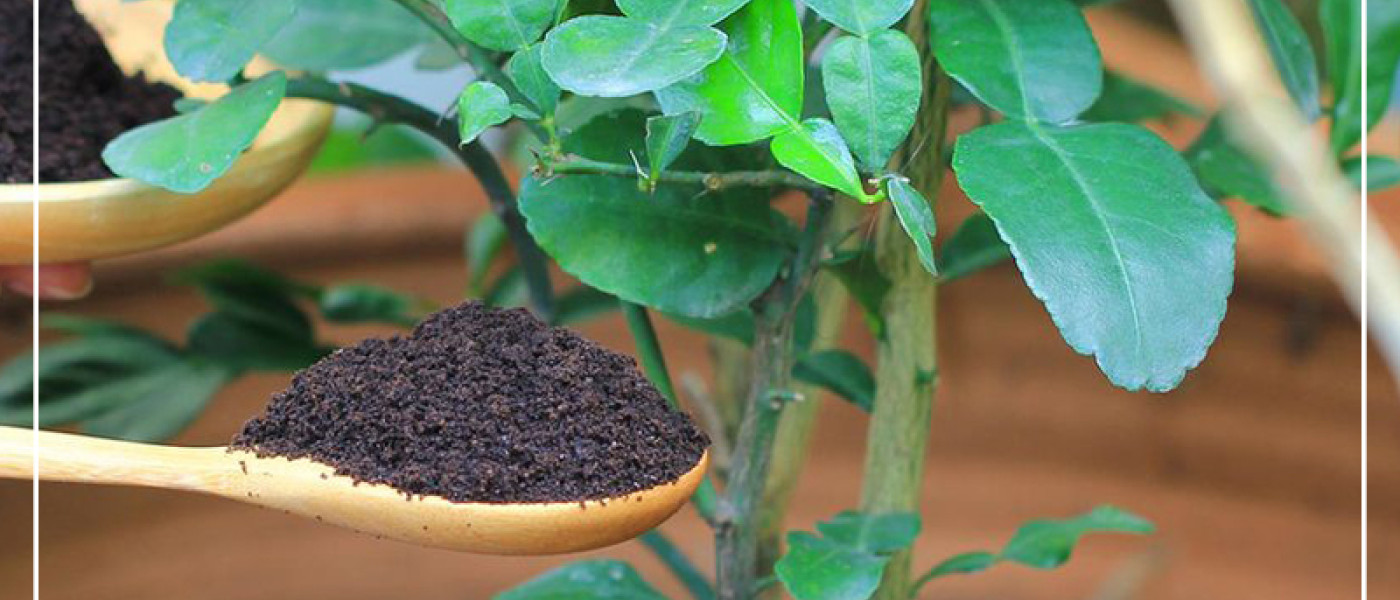 Haushaltsabf&auml;lle als wertvoller D&uuml;nger