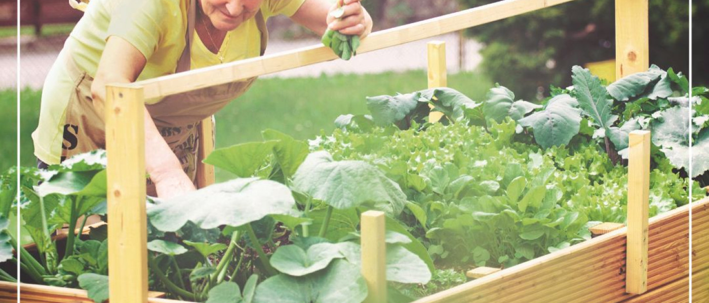 Hochbeet - Schaff Lebensraum mit besten Bedingungen!