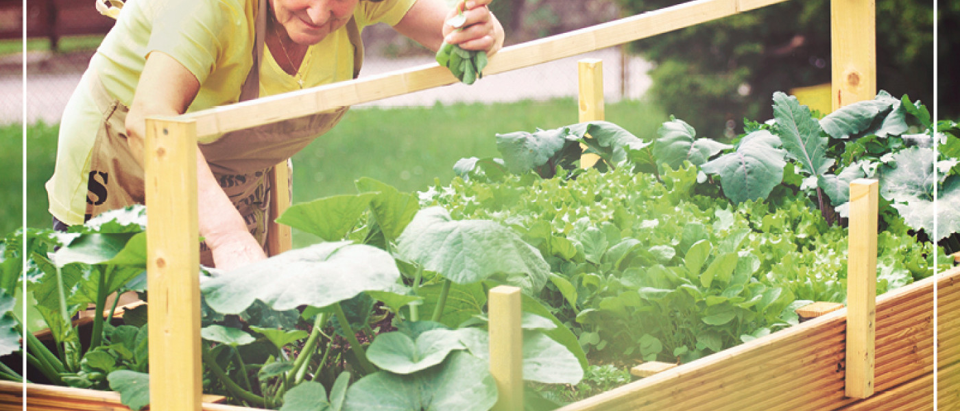 Hochbeete &ndash; Anbaufl&auml;chen mit Superkraft
