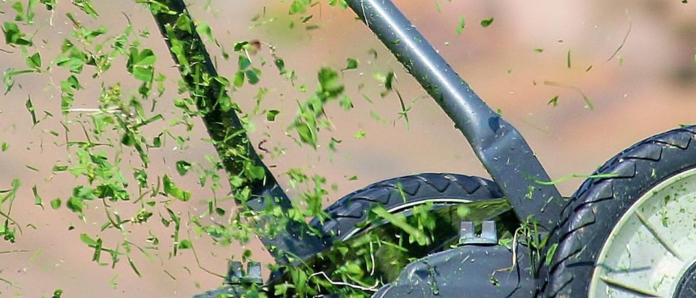 Jetzt geht unser Rasen in die Kur!