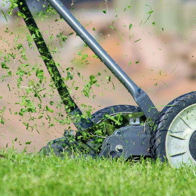 <? $page->title() ?>