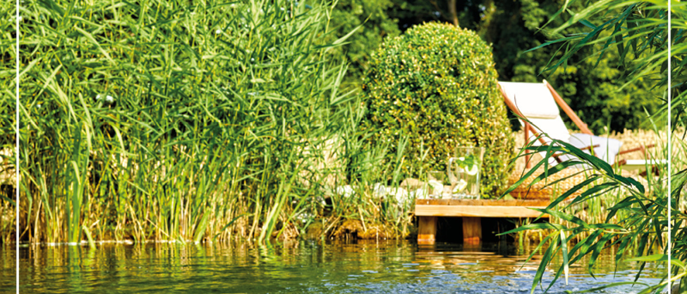 Jetzt ist die Zeit f&uuml;r Teichpflege!