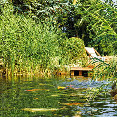 <? $page->title() ?>