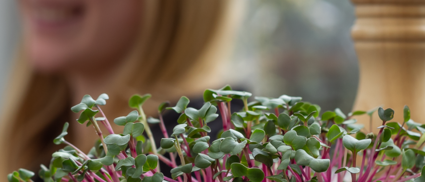 Jetzt mit gesunden Microgreens starten