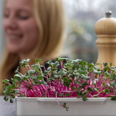 <? $page->title() ?>