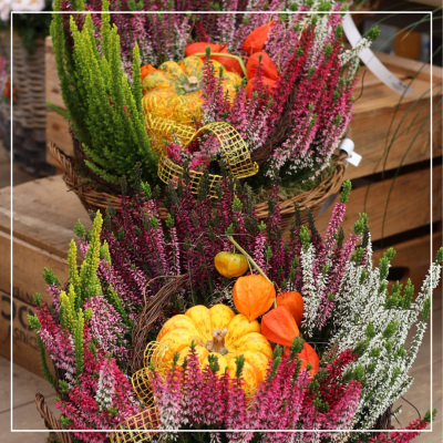 <? $page->title() ?>