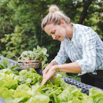 <? $page->title() ?>