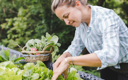 <? $page->title() ?>