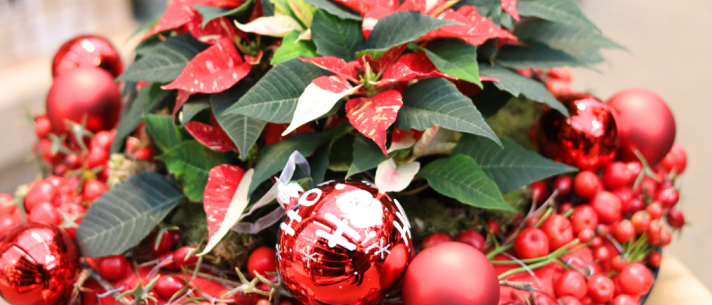 Kleine Sterne mit großer Wirkung