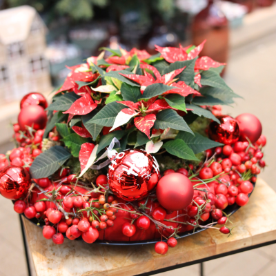 <? $page->title() ?>