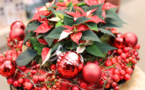 <? $page->title() ?>