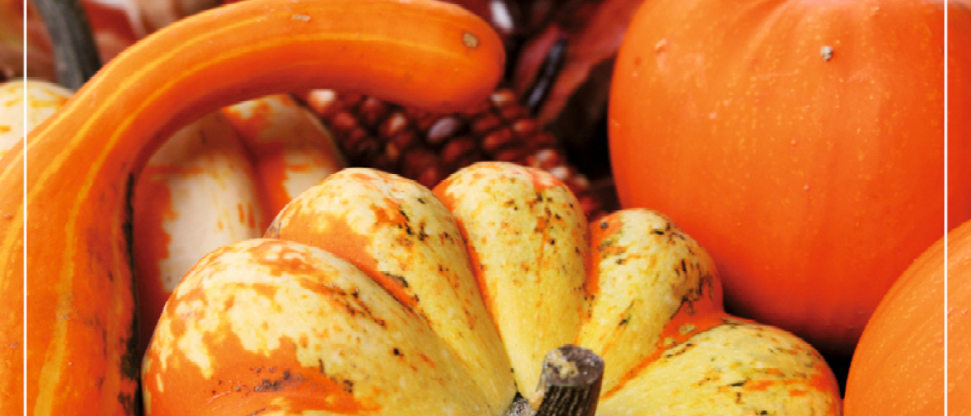 K&uuml;rbis &ndash; unglaublich vielseitig!