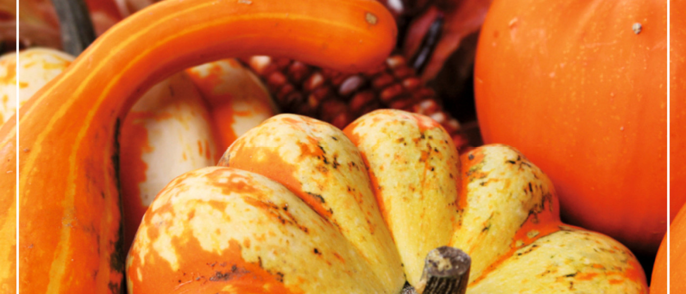 K&uuml;rbisse: Lecker und dekorativ