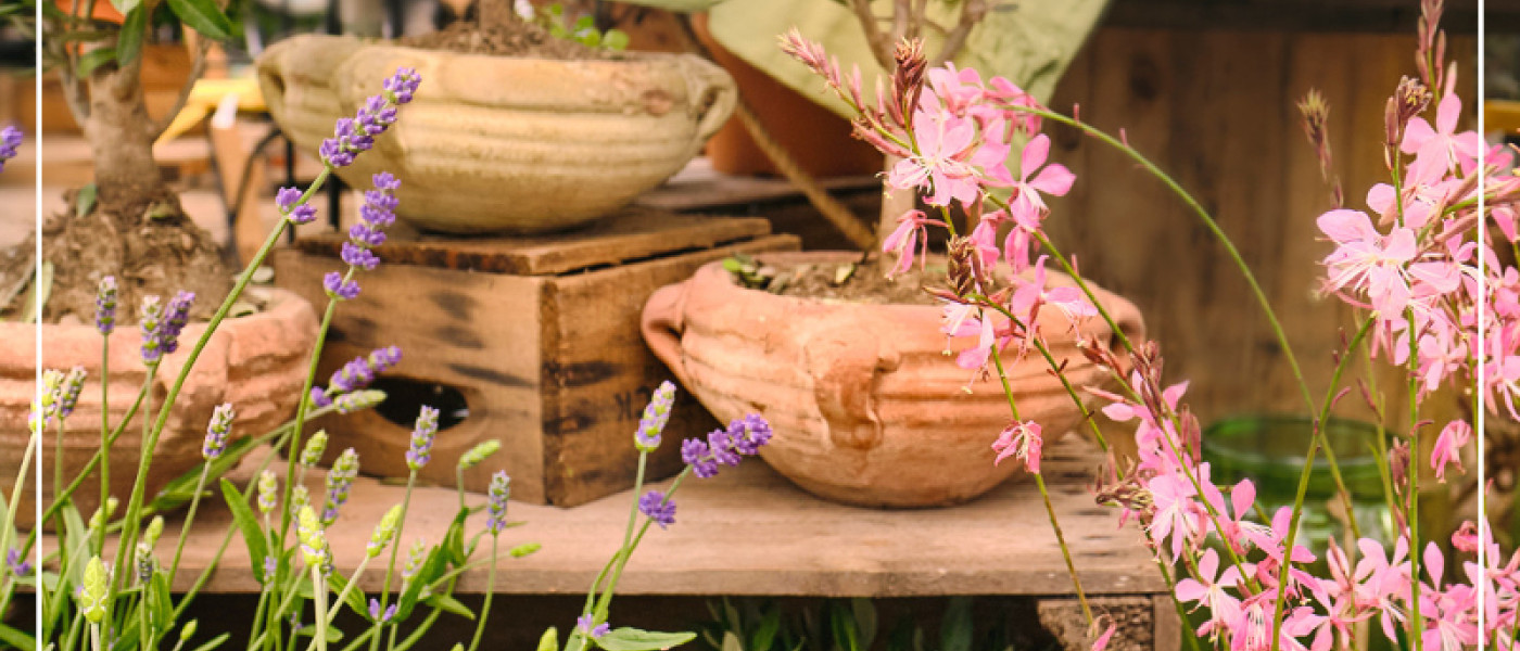 Mediterrane G&auml;rten - s&uuml;dlicher Flair zum Entspannen!