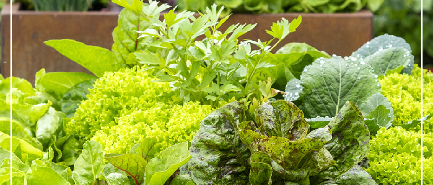 Mein Bioladen hat immer ge&ouml;ffnet