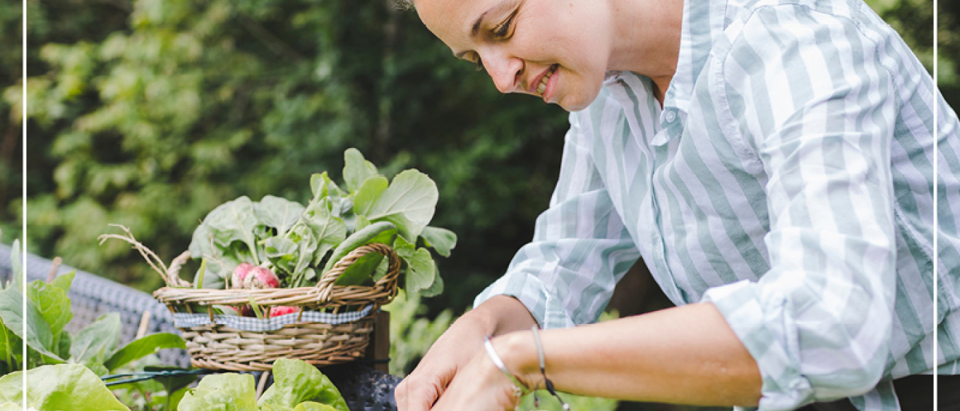 Mischkultur im Gem&uuml;sebeet: Auf gute Nachbarschaft!