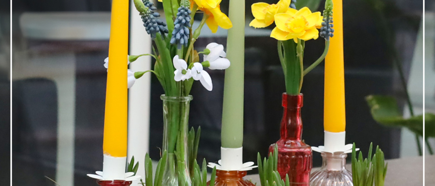 Mit bunten Zwiebelblumen gegen den Winterblues