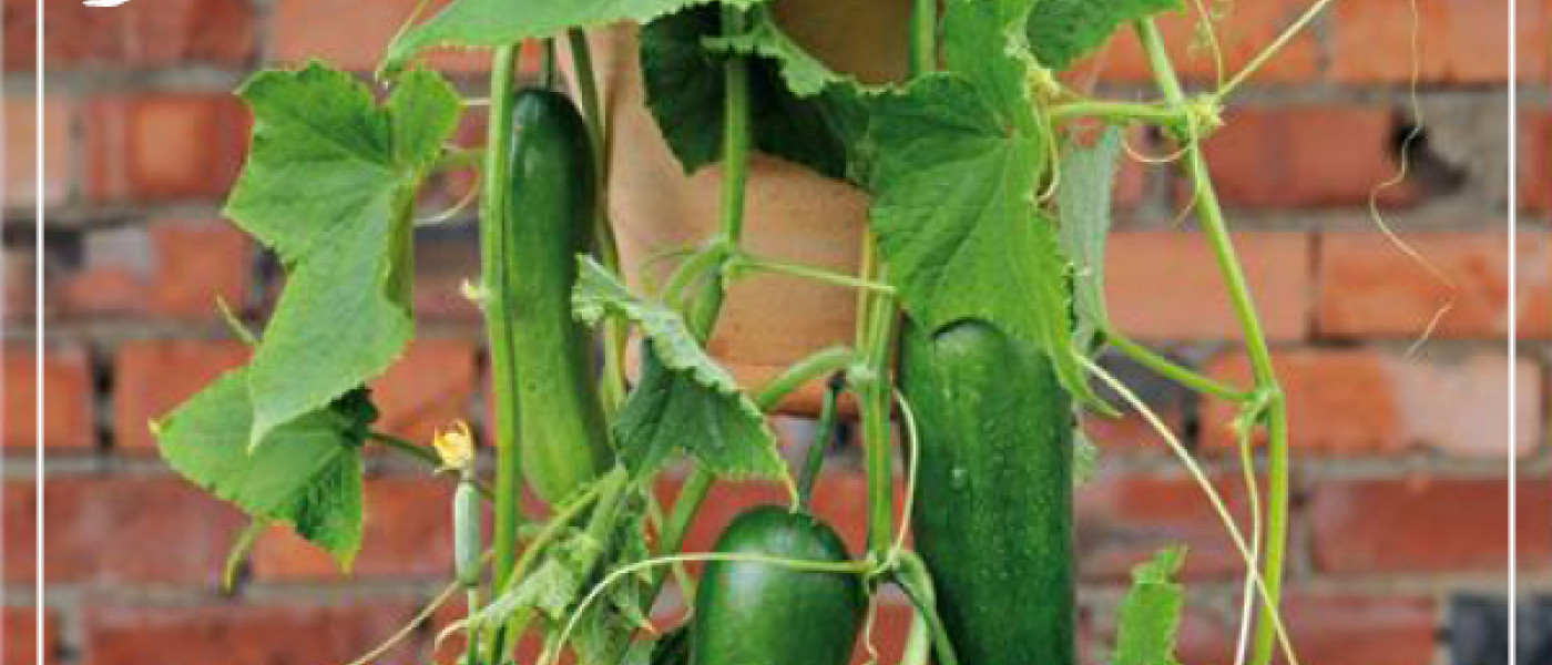 Mit Leidenschaft genie&szlig;en!