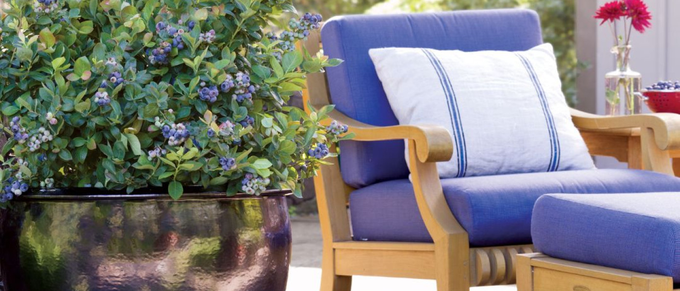 Naschgarten auf kleinem Raum