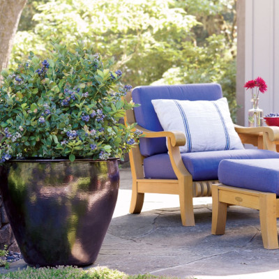 <? $page->title() ?>