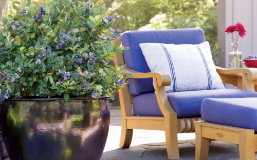 <? $page->title() ?>