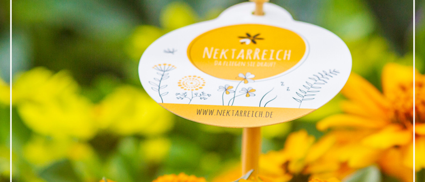 Nektarreich – so wird der Garten zum Bienenrestaurant!