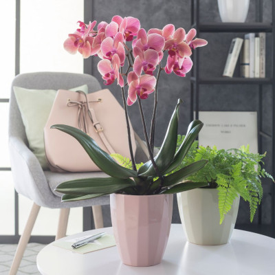 <? $page->title() ?>