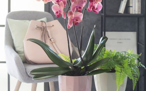 <? $page->title() ?>