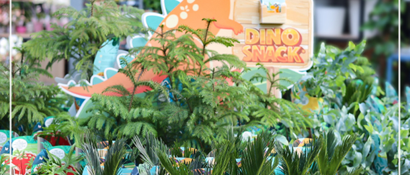 Pflanzen im Kinderzimmer &ndash; spielerisch die Natur entdecken