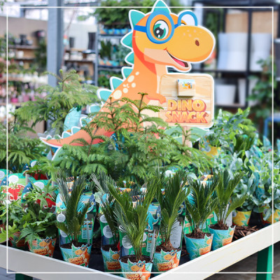 <? $page->title() ?>