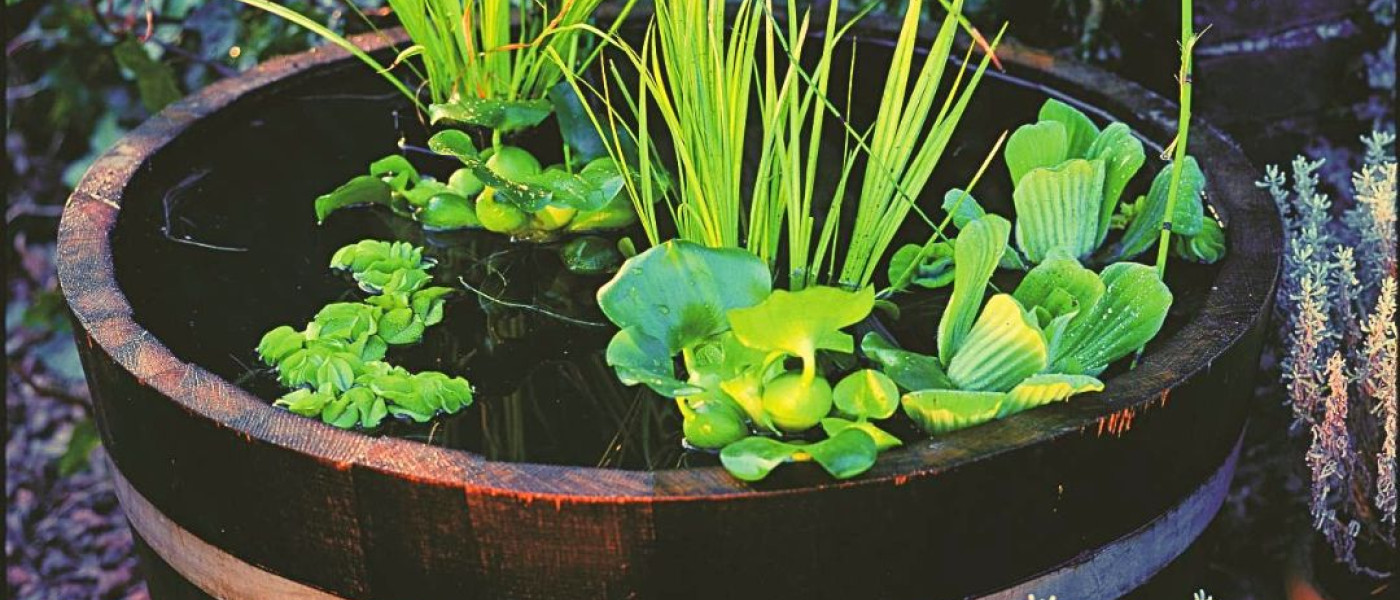 Pl&auml;tschergl&uuml;ck f&uuml;r zuhause