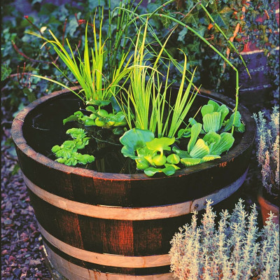 <? $page->title() ?>