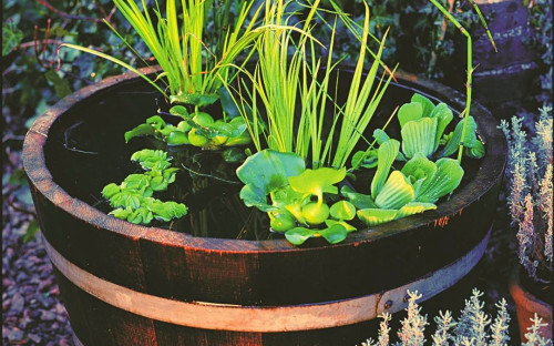 <? $page->title() ?>