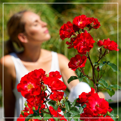 <? $page->title() ?>