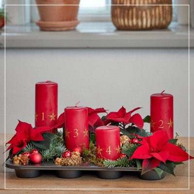 <? $page->title() ?>