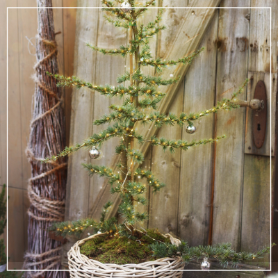 <? $page->title() ?>