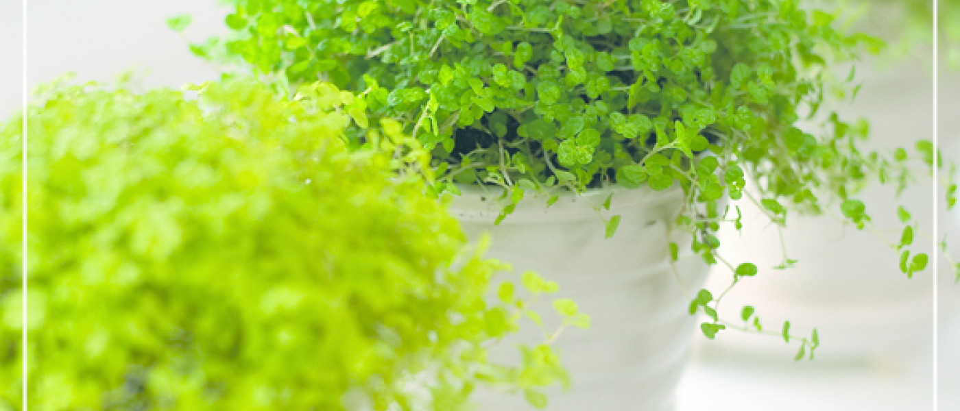 So ein sch&ouml;ner Ausblick!