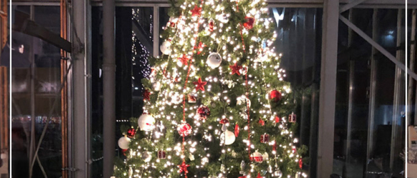 So wird der Weihnachtsbaum wundersch&ouml;n