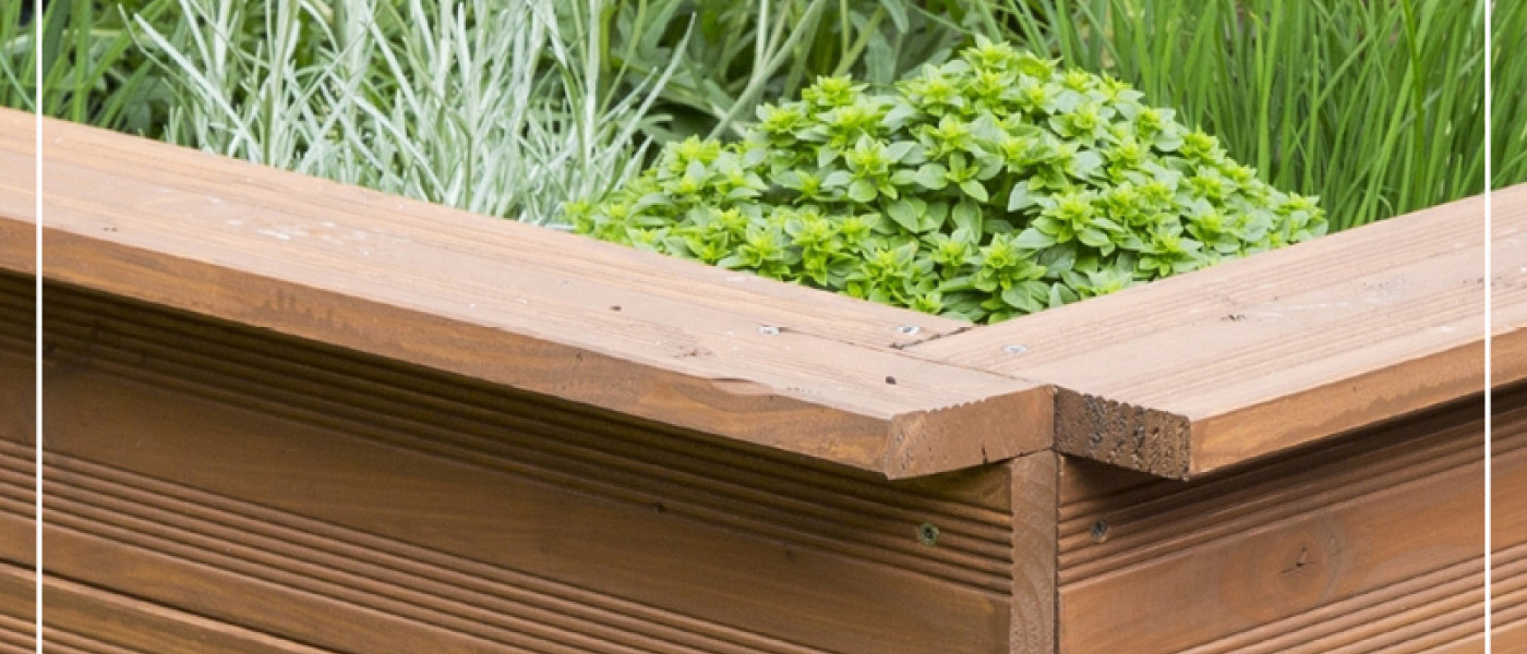 Sommerideen f&uuml;r Ihr Hochbeet