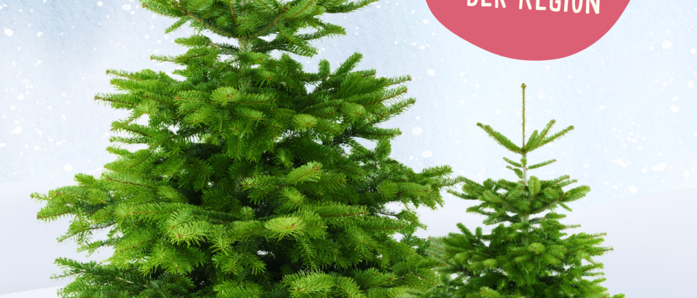 Tannenb&auml;ume aus der Region