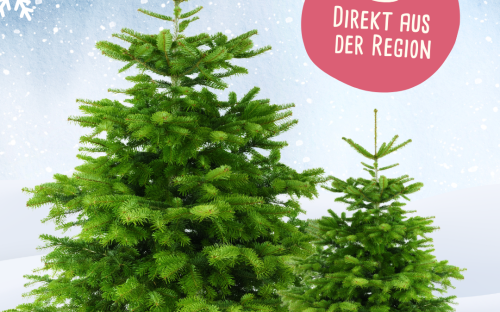 <? $page->title() ?>