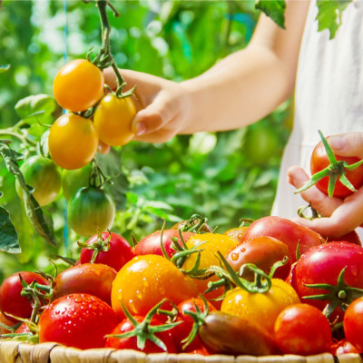 <? $page->title() ?>