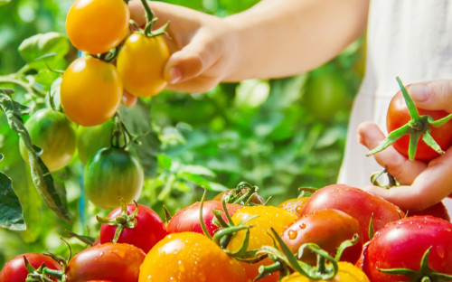 <? $page->title() ?>