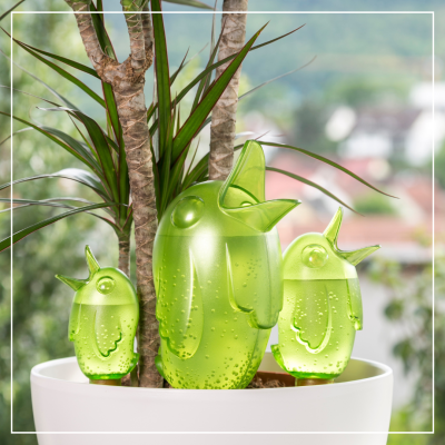 <? $page->title() ?>