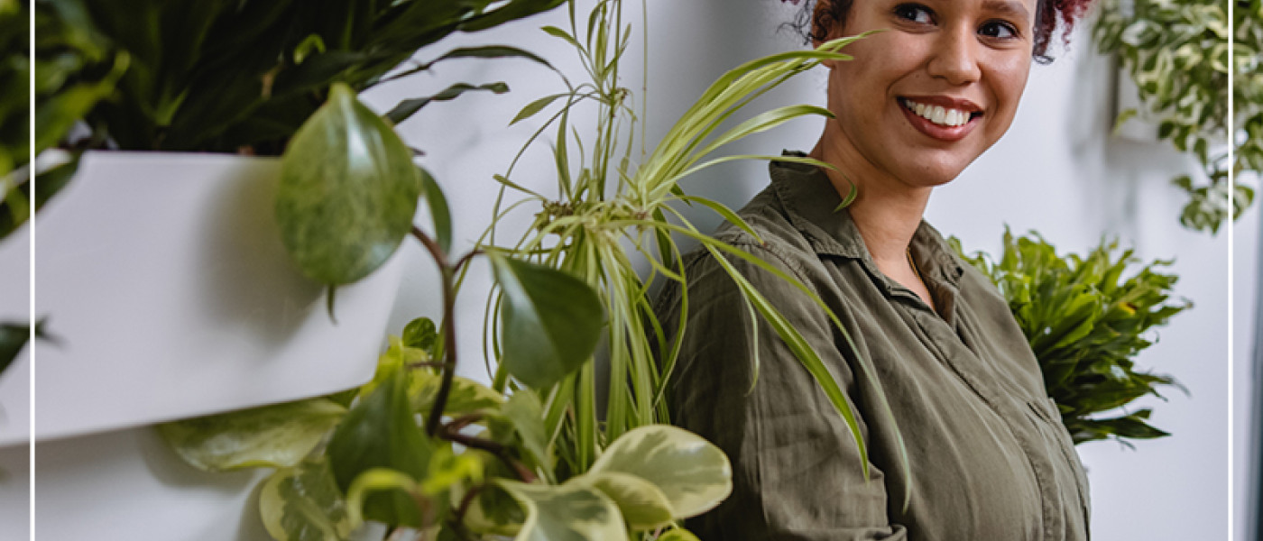 Vertikales G&auml;rtnern