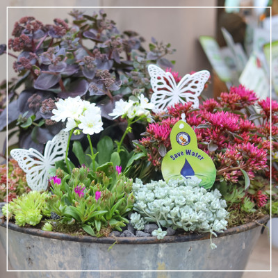 <? $page->title() ?>