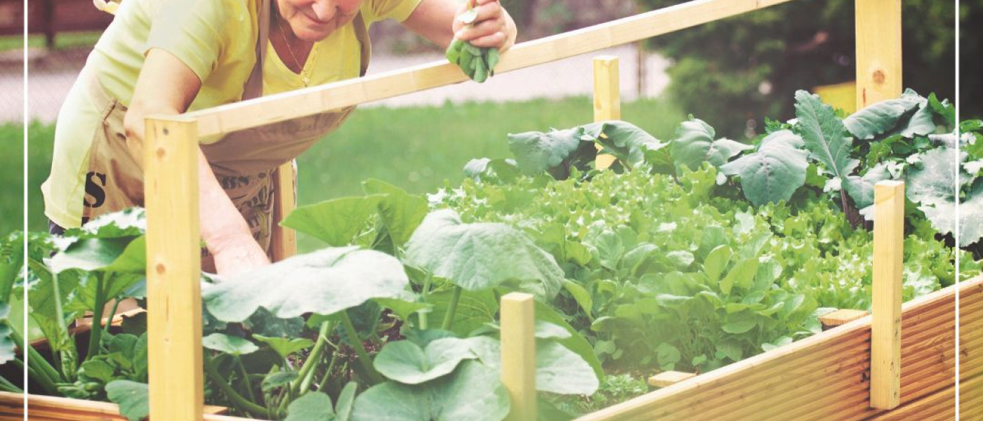 Was kann ich im Sommer noch auss&auml;en?