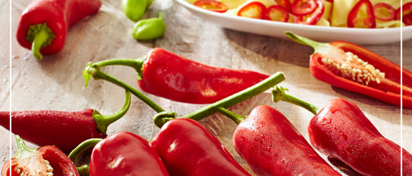 Welches Gem&uuml;se k&ouml;nnt ihr jetzt vorziehen?