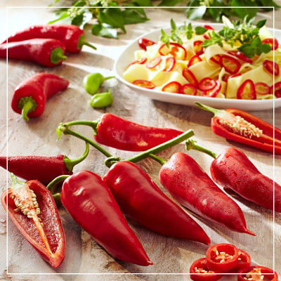 <? $page->title() ?>