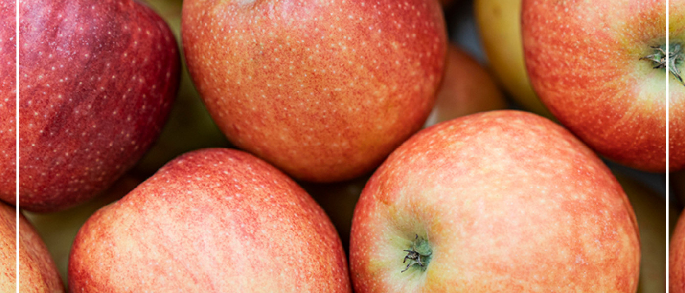 Wellant – der Allergiker Apfel jetzt auch für den Hausgarten